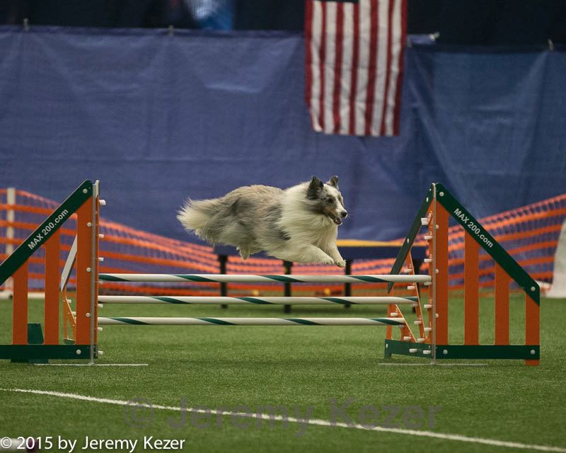 20150321-leap-1405.jpg