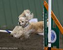 20250614-ccm-0162