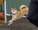20250614-ccm-0174