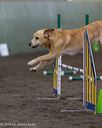 20250614-ccm-0203