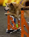 20250614-ccm-0299