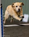 20250614-ccm-1441
