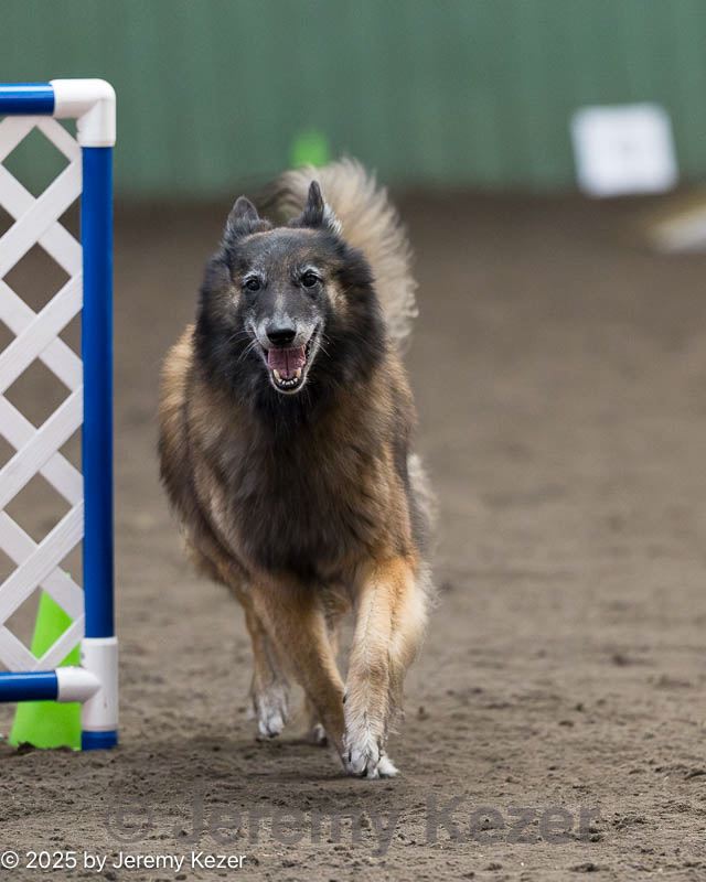 20250614-ccm-1578.jpg