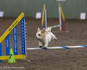 20250614-ccm-0007