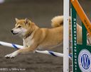 20250614-ccm-0022