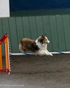 20250615-ccm-0476