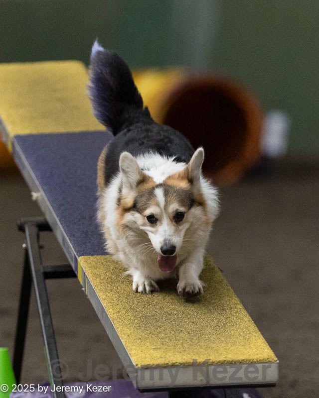 20250615-ccm-0229.jpg