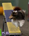20250615-ccm-0134