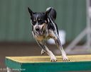 20250615-ccm-0364