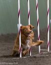 20250615-ccm-0372