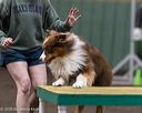 20250615-ccm-0377