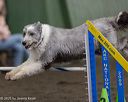 20250615-ccm-0528