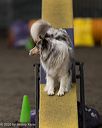 20250615-ccm-0331