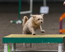 20250615-ccm-0334