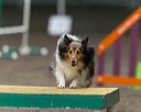 20250615-ccm-0348