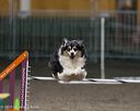 20250615-ccm-0265