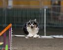20250615-ccm-0266