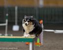 20250615-ccm-0268