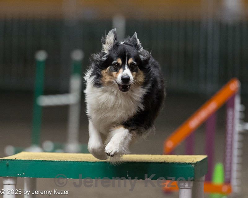 20250615-ccm-0271.jpg
