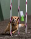 20250615-ccm-0038