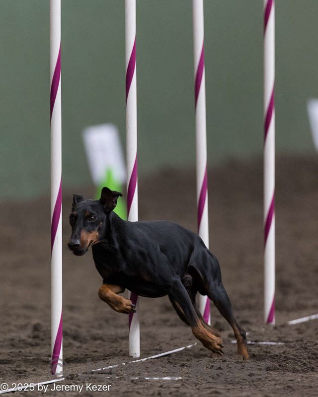 20250615-ccm-0026.jpg