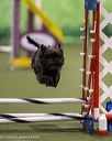 20260103-acnh-2694