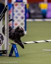 20260103-acnh-2698