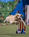 20260103-acnh-2571