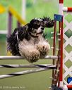 20260103-acnh-2584