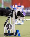 20260103-acnh-2529