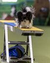 20260103-acnh-2386