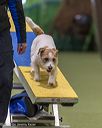 20260103-acnh-2407