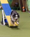 20260103-acnh-2346