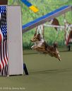 20260103-acnh-2349