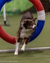 20260103-acnh-2354