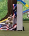 20260103-acnh-2371