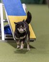 20260103-acnh-2377