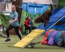 20260103-acnh-2242