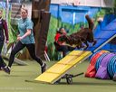 20260103-acnh-2243