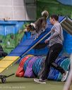 20260103-acnh-2270