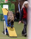 20260103-acnh-2284