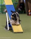 20260103-acnh-2296