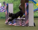 20260103-acnh-2301