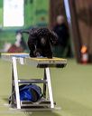 20260103-acnh-2305