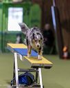 20260103-acnh-2319