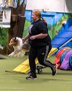 20260103-acnh-2322