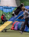 20260103-acnh-2325