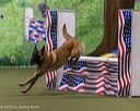 20260103-acnh-2225