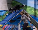 20260103-acnh-2226