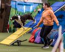 20260103-acnh-2233